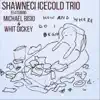 Shawneci Icecold Trio - How and Where Do I Begin